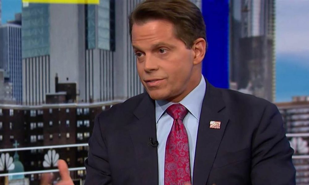 Donald Trump Scaramucci: If Senate balance tips, Trump’s going to leave office